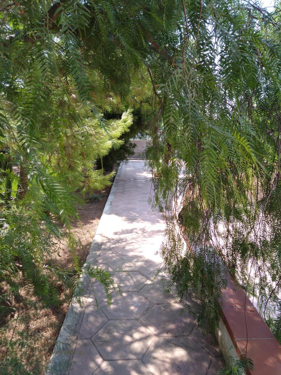 Stelle Sul Salento Holiday Home Марина-ди-Манкаверса Экстерьер фото